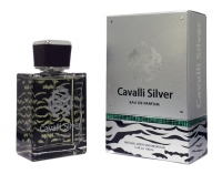 Cavalli_Silver_e_56cb785808ce3